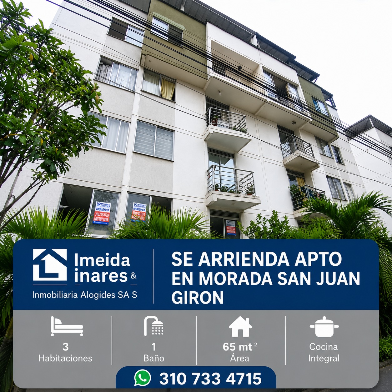 WhatsApp-Image-2026-07-27-at-4.28.43-PM-1